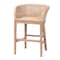 Bali & Pari Papua Modern Bohemian Antique White Washed Rattan and Mahogany Wood Counter Stool 243-13490-ZORO - alternate 1